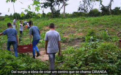 Agroecologia: uma alternativa à mineração