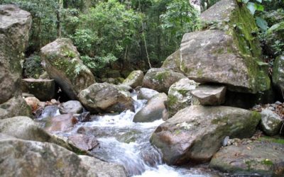 Código de Meio ambiente municipal, instituído pela Lei nº 3.129/2000, do município de Nova Iguaçu/RJ