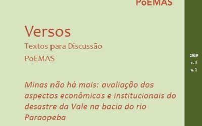 Minas não há mais: avaliação dos aspectos econômicos e institucionais do desastre da Vale na bacia do rio Paraopeba