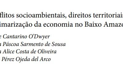 Conflitos socioambientais, direitosterritoriais e reprimarização daeconomia no Baixo Amazonas