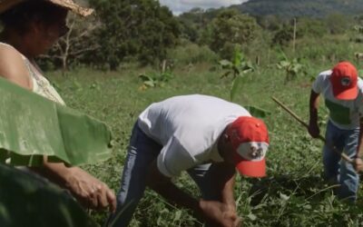 Agricultores camponeses lutam pelo seu futuro no Assentamento Roseli Nunes e ao seu redor
