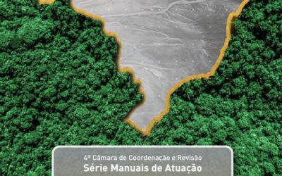 Livro: Mineração ilegal de ouro na Amazônia: marcos jurídicos e questões controversas